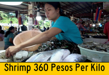1 Kilo of Shrimp for Supper 1 Kilo of Shrimp for 360 Pesos