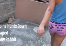 Filipina Wife #2 Hunts Down Escaped Bunny Rabbit #Philippines #Lifestyle 2020 0503 Philippines Lifestyle Filipina Hunts Down Escaped Bunny Rabbit