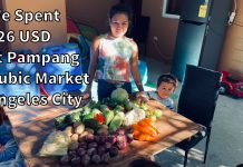 We Spent $26 USD on Vegetables at the Pampang Public Market in Angeles City 2022 0303 We Spent 26 USD at the Pampang Public Market Angeles City Cost of Vegetables