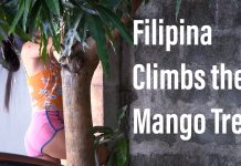 Fatima Climbs the Mango Tree #Philippines #Lifestyle 2022 0501 Philippines Lifestyle Filipina Climbs the Mango Tree