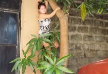 Philippines Lifestyle… Fatima Wants to Get Rid of the Portable Jacuzzi AND 4 Mangoes Harvested! Philippines Lifestyle... Fatima Wants to Get Rid of the Portable Jacuzzi AND 4 Mangoes Harvested!