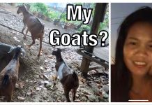 Fatima’s Journey to the Village and a LONG Walk with Her Mother #Villagelife #Philippines Fatima's Journey to the Village and a LONG Walk with Her Mother #Villagelife #Philippines