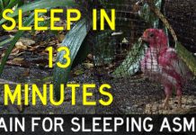 SLEEP IN 13 MINUTES #ASMR #SLEEP #RAINFALL #SLEEPING SLEEP IN 13 MINUTES #ASMR #SLEEP #RAINFALL #SLEEPING