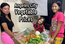 How Much Did We Spend on Vegetables, Fish, and Pork at Pampang Public Market? How Much Did We Spend on Vegetables and Fish at Pampang Public Market?