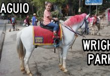 Maria’s Going Horseback Riding at Wright Park in Baguio! Wright Park Baguio Philippines Horseback Riding
