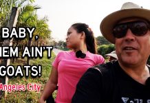 Fatima Spots a Flock of Big Goats on Our Nightly Tour? #Philippines #Lifestyle Philippines Lifestyle Korea Town Tour