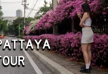 Pattaya Tour – Soi Buakhao, Beach Road, Walking Street, Bali Hai Pier, & the Pattaya Sign Pattaya Thailand Beautiful Thai Girl