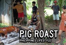 PIG ROAST (Lechon Baboy) in Filipina Wife’s Village – Part 1 Philippines Lifestyle Pig Roast Lechon Baboy Barbecue in Filipina Wife's Village