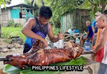PIG ROAST (Lechon Baboy) in Filipina Wife’s Village – Part 2 Philippines Lifestyle Pig Roast Part 2