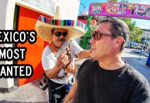 Cabo San Lucas Marina and Beach Walking Tour Cabo San Lucas Marina and Beach Walking Tour