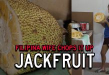 Filipina Wife Cracks Open a Jackfruit from the Village Filipina Wife Cracks Open a Jackfruit from the Village