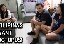 Have You Ever Spent 30 Minutes Talking About an Octopus? Have You Ever Spent 30 Minutes Talking About an Octopus?