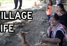 Philippines Village Sunday Morning – Hot Coffee and Baby Goats Philippines Village Sunday Morning - Hot Coffee and Baby Goats