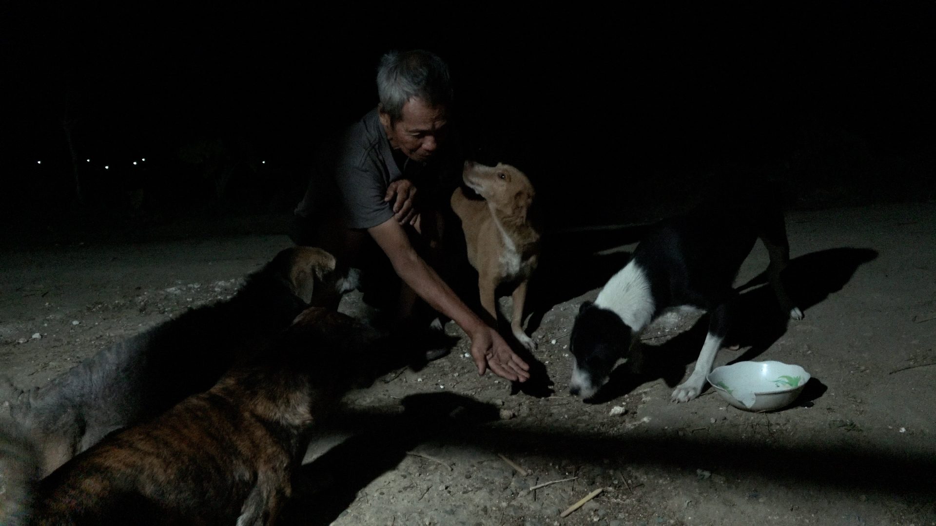 Philippines Lifestyle Village Dogs React to Real Dogfood for the First Time Taytay the Dog Whisperer