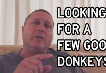 Mean Comments Are Getting Weak! Donkeys Too Scared to Hee Haw? Mean Comments Are Getting Weak. Donkeys Too Scared to Hee Haw?