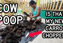 Village Filipinas TAKE OVER Foreign Guy’s House! WHY Is Grandma Chopping Up Cow Poop In My Driveway?