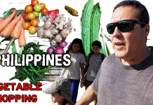 How Much Are Vegetables in the Philippines? Let’s Go To The Market. How Much Are Vegetables in the Philippines? Let's Go To The Market.