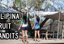 Philippines Lifestyle – Gangster Filipinas Raid Fruit Trees In Broad Daylight! Philippines Lifestyle - Gangster Filipinas Raid Fruit Trees In Broad Daylight!