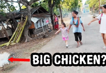 Philippines Lifestyle – We Saw a Pregnant Chicken and a Big Shark On Our Nightly Walk? Philippines Lifestyle - We Saw a Pregnant Chicken and a Big Shark On Our Nightly Walk
