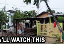 Sadly, Our Lone Palm Tree Had To Be Removed. Philippines Lifestyle Chopping Down a Tree