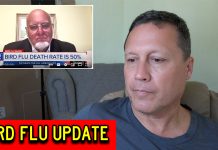 Former CDC Director Predicts Bird Flu Pandemic? Former CDC Director Predicts Bird Flu Pandemic?