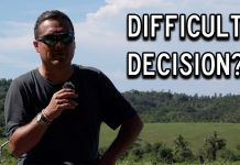 Why Did I Make Grandma Move Back To The Village? Why Did I Make Grandma Move Back To The Village?