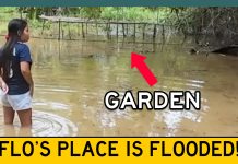 Flo’s Village Hit By FLASH FLOOD! 6 Roosters Down and Garden Under Water Flo's Village Hit By FLASH FLOOD! 6 Roosters Down and Garden Under Water