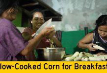 Filipinas Cooking Corn from Grandma’s Cornfield Basecamp & Truck Patch Filipinas Make Slow-Cooked Corn for Breakfast and Sardines for Supper