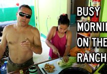 I’m Building An Outdoor Recreation Area for Our Rescue Roosters. Fatima Is Making Chicken Soup. I'm Building An Outdoor Recreation Area for Our Rescue Roosters. Fatima Washes Clothes & Makes Soup.