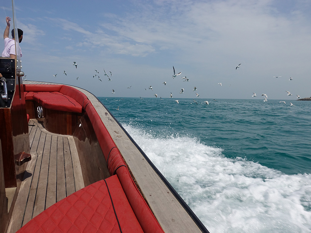 Abu Dhabi Boating - Birds Flying - Sony RX100 V