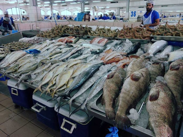 Abu Dhabi Fish Market Al Mina United Arab Emirates