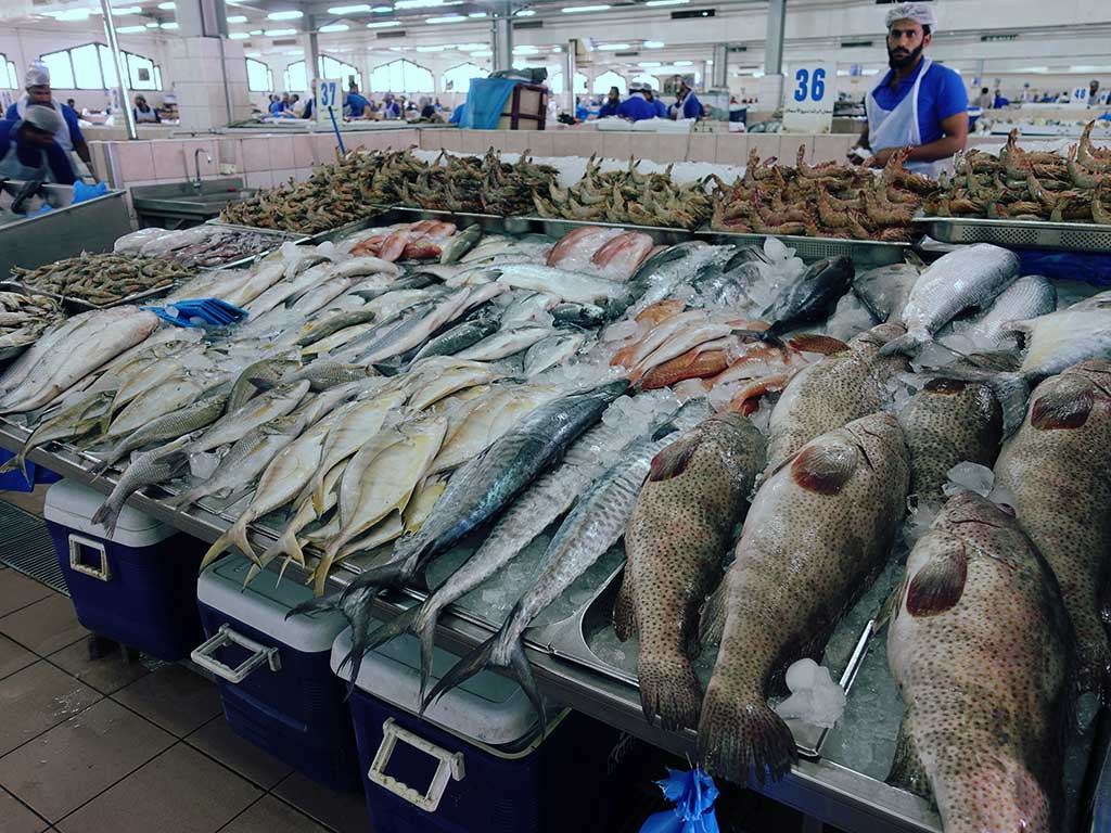 Abu Dhabi Fish Market