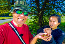 Wife 100% Sure Berries Safe To Eat? Angeles City Philippines Lifestyle Morning Walk