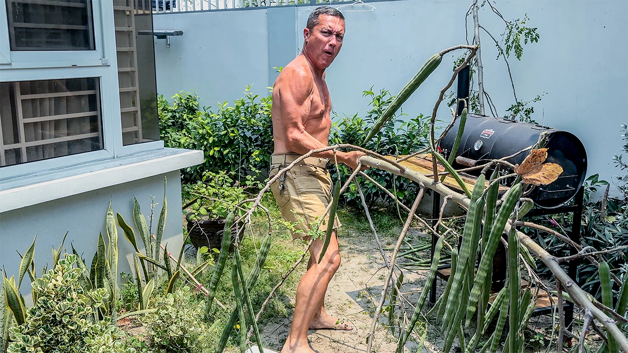 Angeles City Philippines Lifestyle Mulanggay Tree Falls in Yard