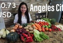Angeles City Market, Voice Search Can’t Understand Janice, Fatima’s Alien Dance Skills, & Barbecue Angeles City Public Market Price of Vegetables 4k