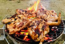 Backyard Barbecue Under the Guava Tree – #Philippines #Lifestyle Backyard Barbecue in the Philippines