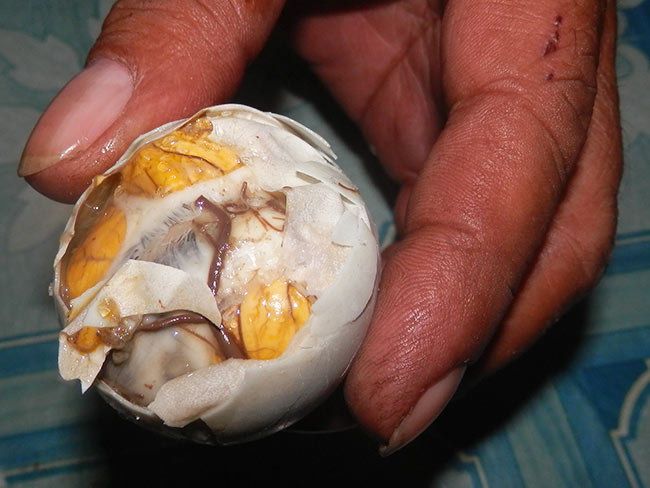 Balut Philippines