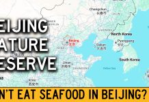 I’ve Declared Beijing a Nature Reserve to Help Save The Oceans I've Declared Beijing a Nature Reserve to Help Save The Oceans