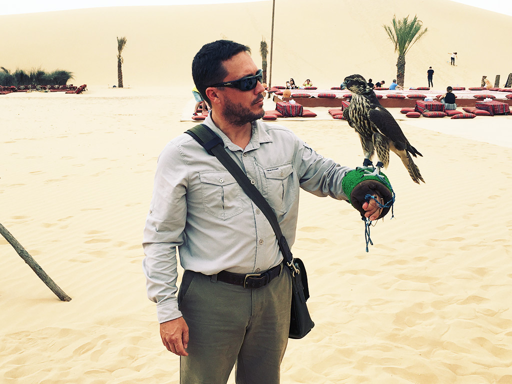 Desert Safari Tour Abu Dhabi Dubai UAE Holding a Falcon