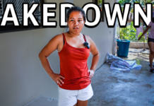 Wife Takes Down Cat Burglar Over Stolen Fish! Wife Takes Down Cat Burglar Over Stolen Fish!