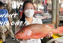 Fish Vendor SLICES AND DICES Six-Pound Red Snapper in 6 Minutes 41 Seconds FLAT! Filipina Wife Wants Red Snapper Barrio Barretto Subic Bay Philippines Lifestyle