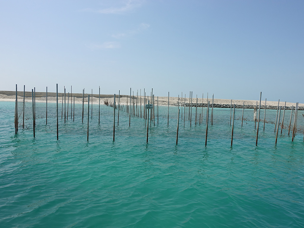 Fish Trap - Abu Dhabi - Sony RX100 V