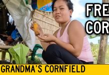 We’re Going To Grandma’s Cornfield Basecamp! We're Going To Grandma's Cornfield Basecamp!