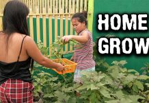 Fresh Vegetables From Rice Sack Garden Fresh Vegetables From Rice Sack Garden