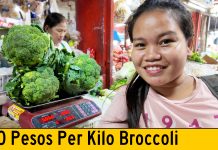 Fresh Broccoli 50 Pesos Per Kilo Fresh Broccoli 50 Pesos Per Kilo