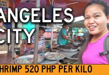How Much Is Shrimp, Pork, and Chicken in Angeles City? Let’s Go Shopping.
