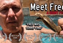Meet Fred – A SHORT Film Meet Fred - A SHORT Film
