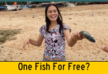 Today’s Special? One Free Fish Served With A Brownout Today's Special? One Free Fish Served With A Brownout