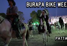 Pattaya Bike Week 2023 – February 9th (Thursday Evening) Pattaya Burapa Bike Week 2023 Horses