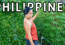 Food Growing on the Fence, Tuna Fried Rice, Brownout, & Stocking Typhoon Emergency Food Supply Philippines Lifestyle Food Growing on the Fence, Tuna Fried Rice, Brownout, Stocking Typhoon Emergency Food Stock